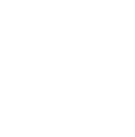 T & C
